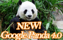 google panda 4.0 is here